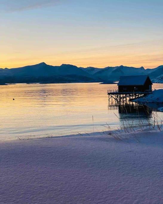 Holiday Home With Sauna In The Arctic Caribbean, Tromsø Dış mekan fotoğraf